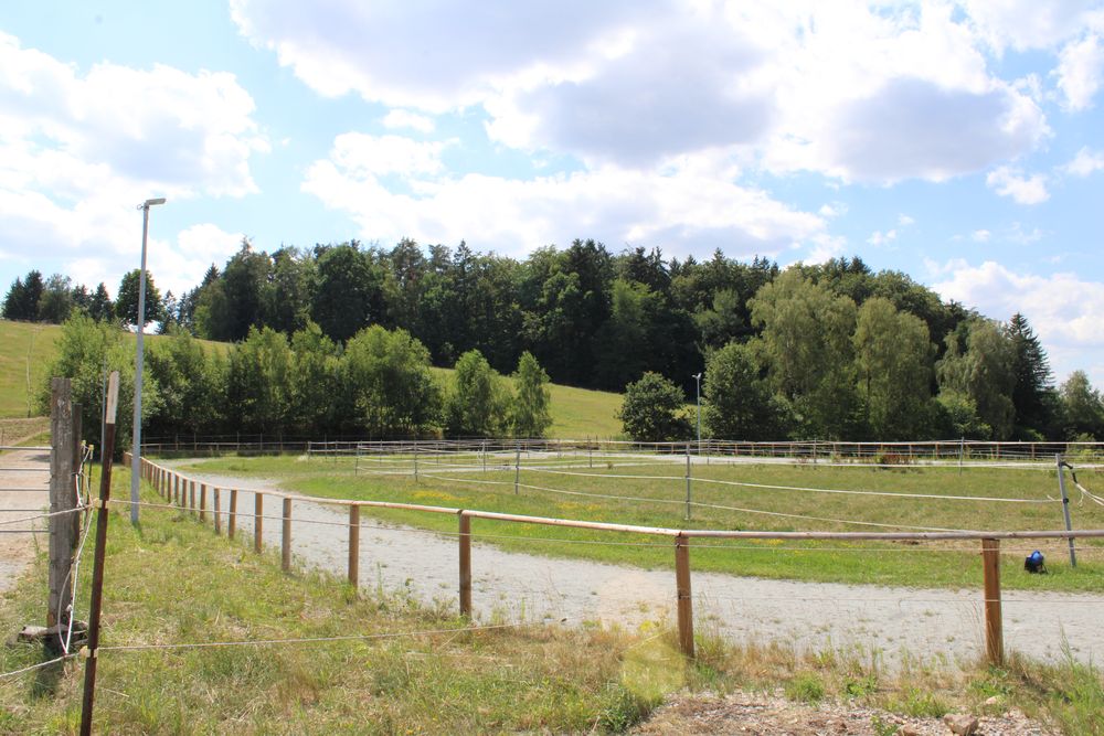 Ovalbahn am Aktivstall Saffelberg