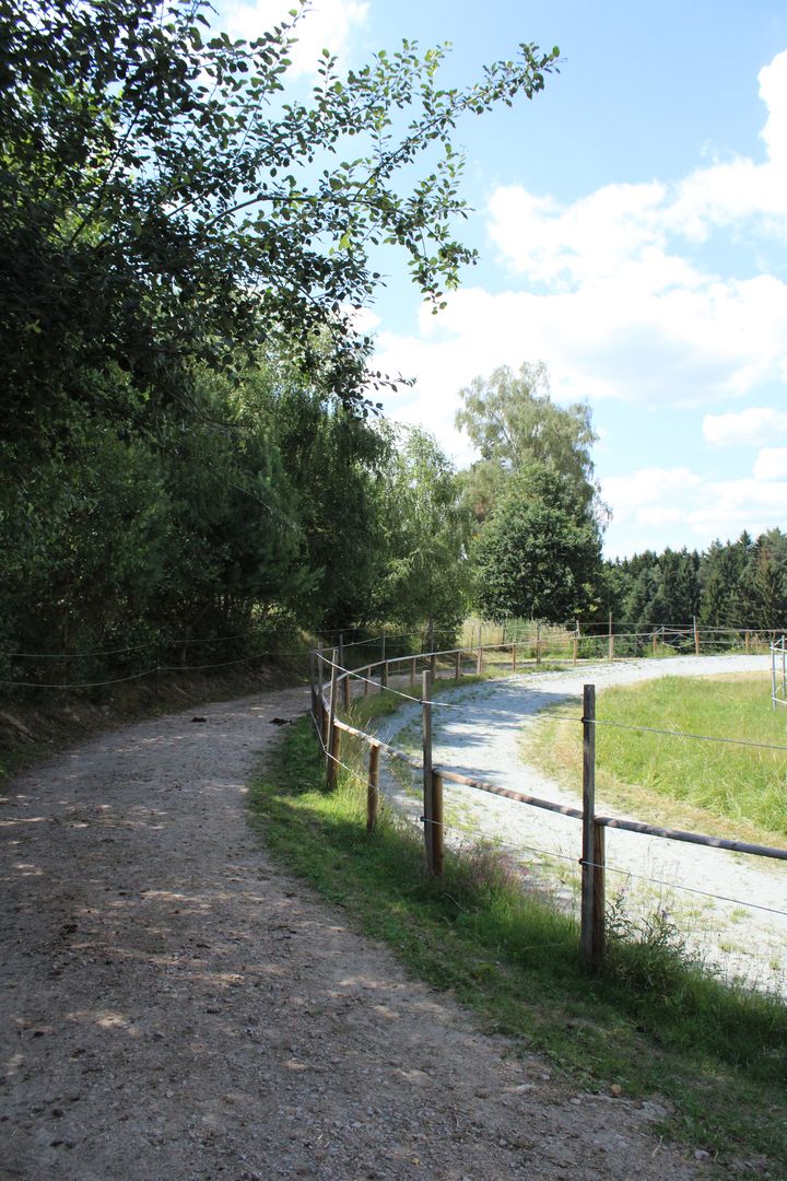 Paddock-Trail entlang der Koppel