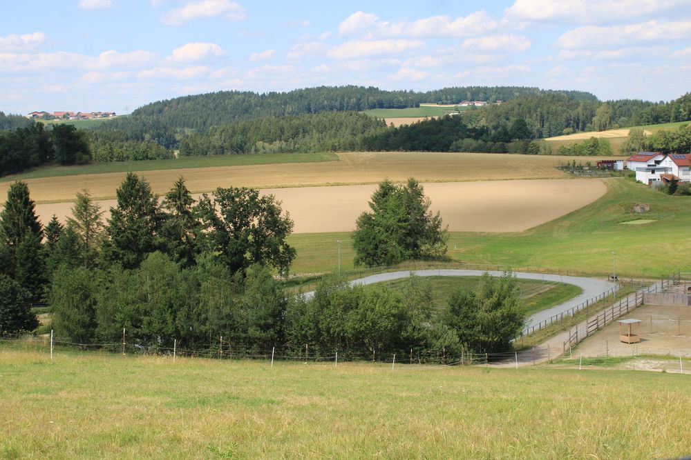 Reitplatz und Ovalbahn